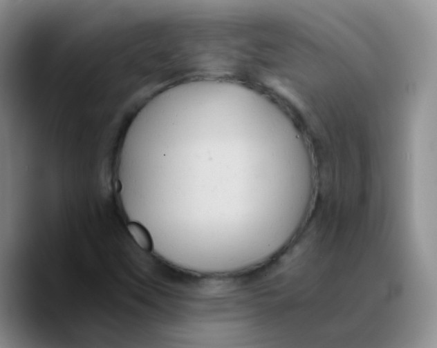 X0000089731451200707201831