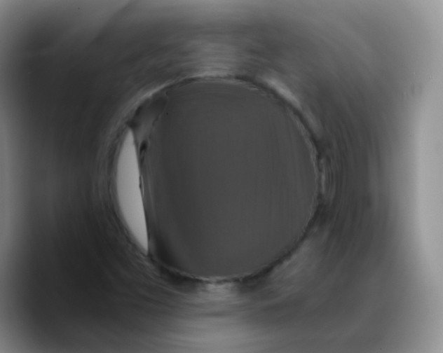 X0000089731453200707201831