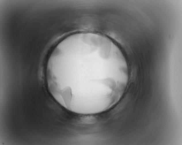 X0000089731454200707201831