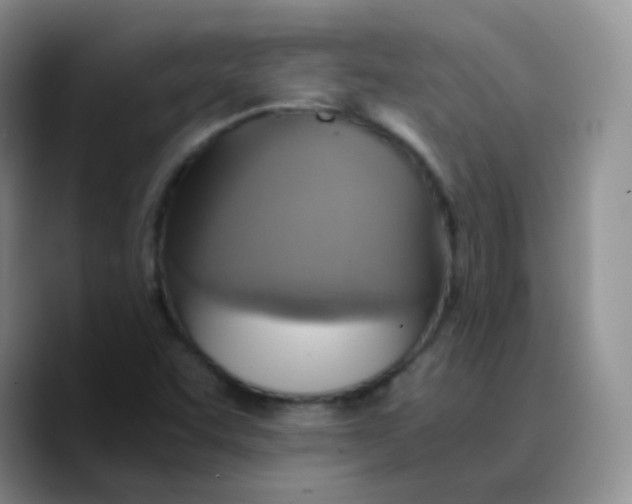 X0000089731455200707201831