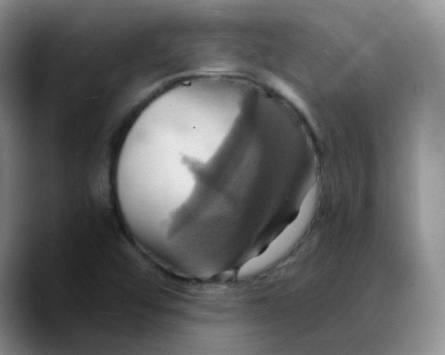 X0000089731456200707201831