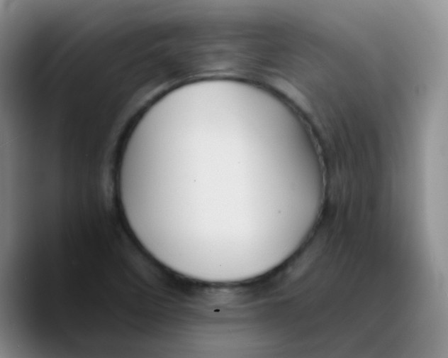 X0000089731458200707201831