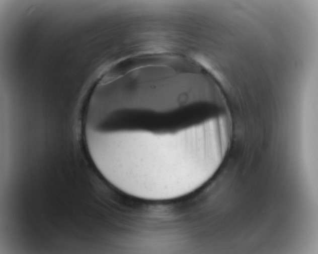 X0000089731459200707201831