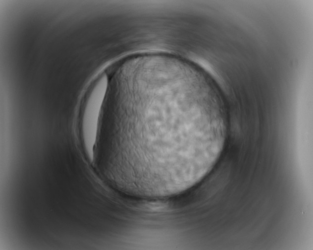 X0000089731460200707201831