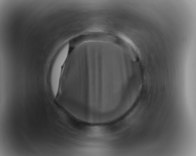 X0000089731461200707201831