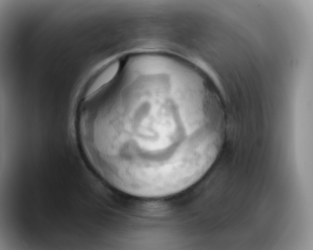 X0000089731464200707201831