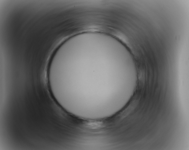 X0000089731466200707201831