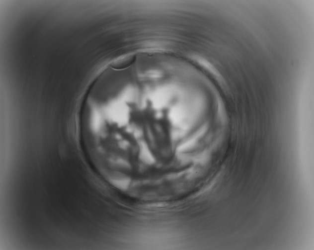 X0000089731467200707201831