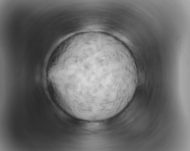 X0000089731470200707201831