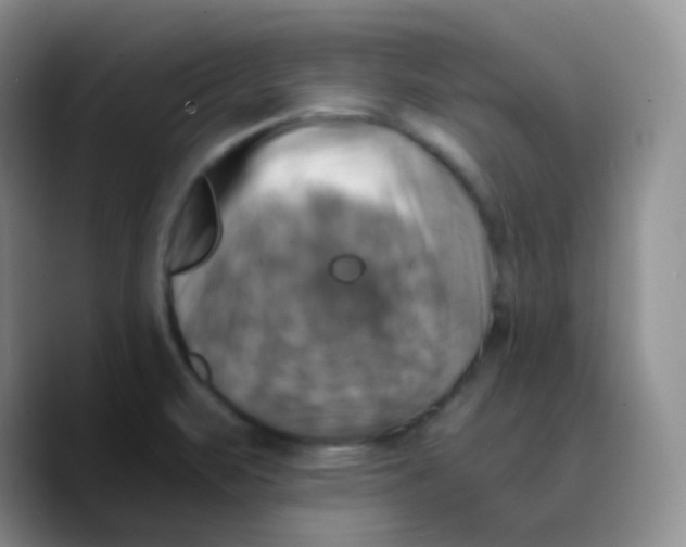 X0000089731471200707201831