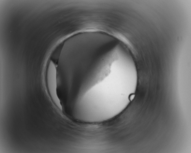 X0000089731472200707201831