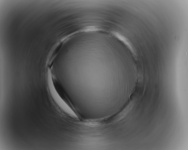 X0000089731473200707201831