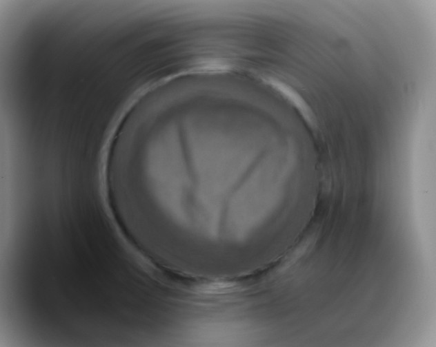 X0000089731475200707201831
