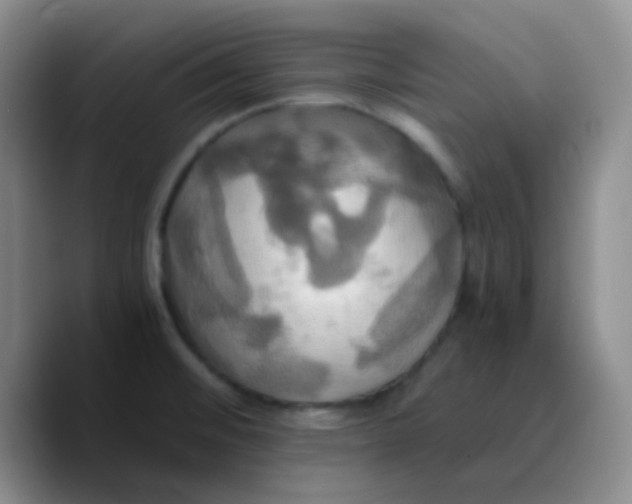 X0000089731476200707201831