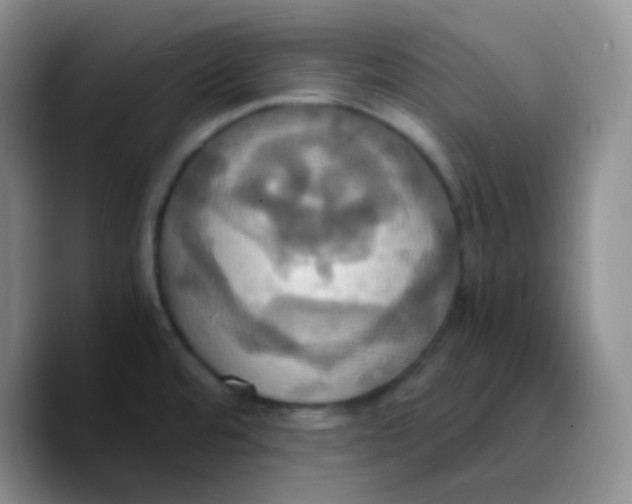 X0000089731480200707201831