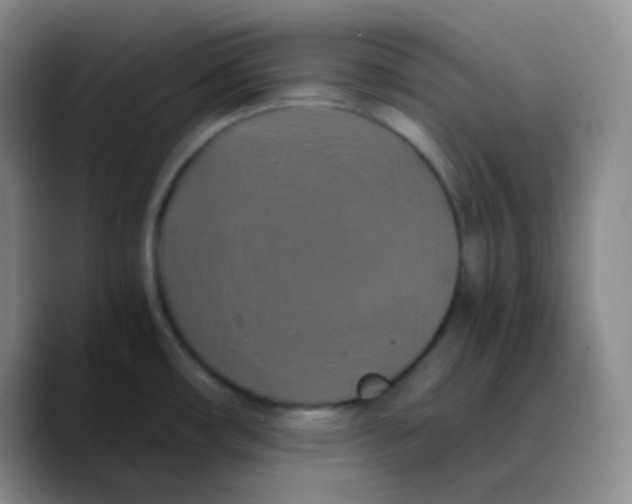 X0000089731482200707201831
