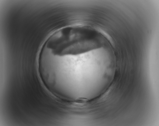 X0000089731483200707201831