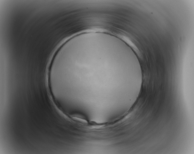 X0000089731484200707201831