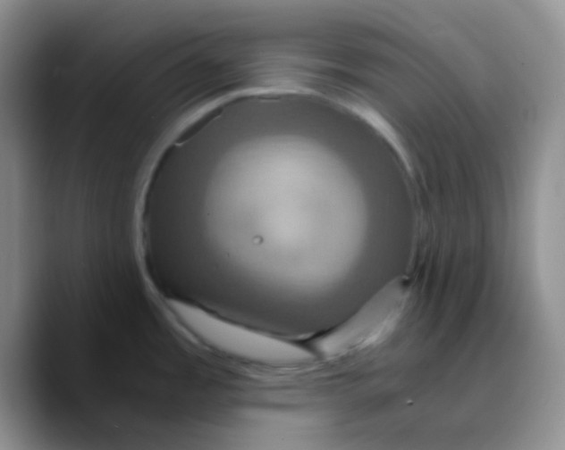 X0000089731485200707201831
