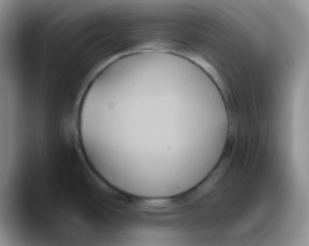 X0000089731486200707201831