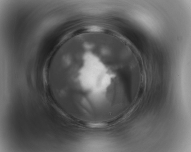 X0000089731487200707201831
