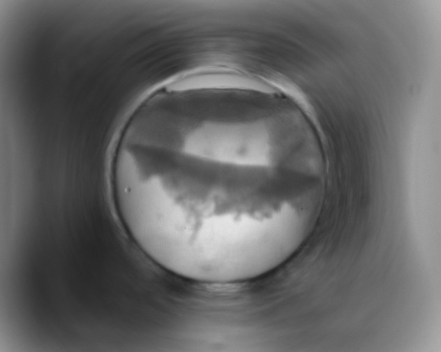 X0000089731488200707201831