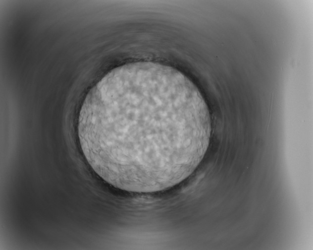 X0000089731489200707201830