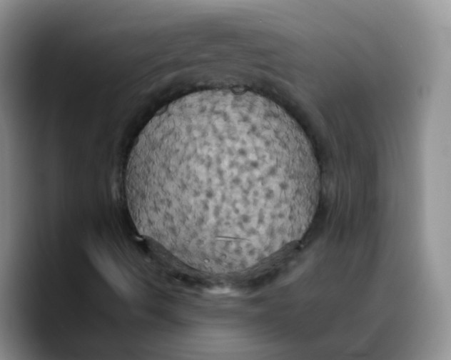 X0000089731490200707201830