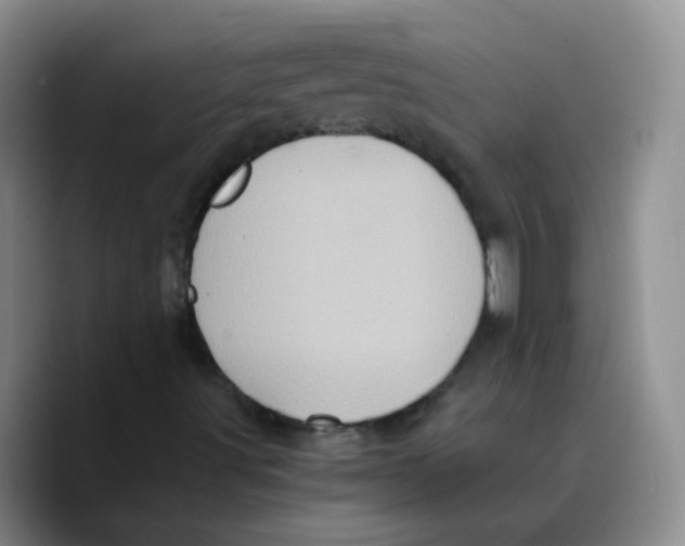 X0000089731491200707201830