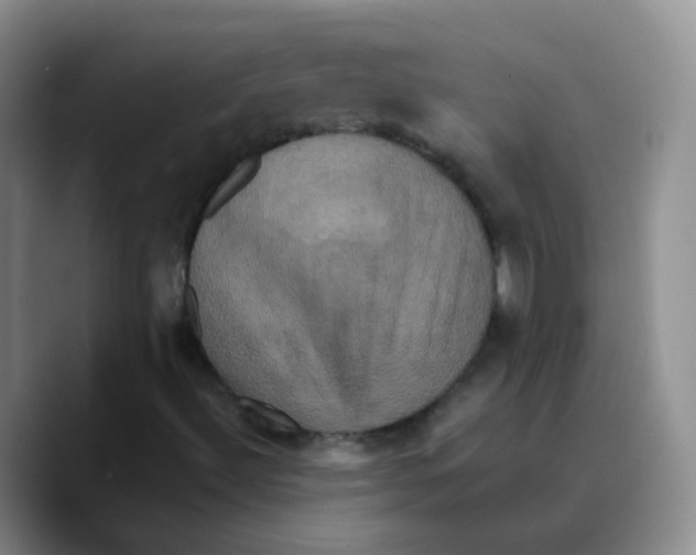 X0000089731492200707201830