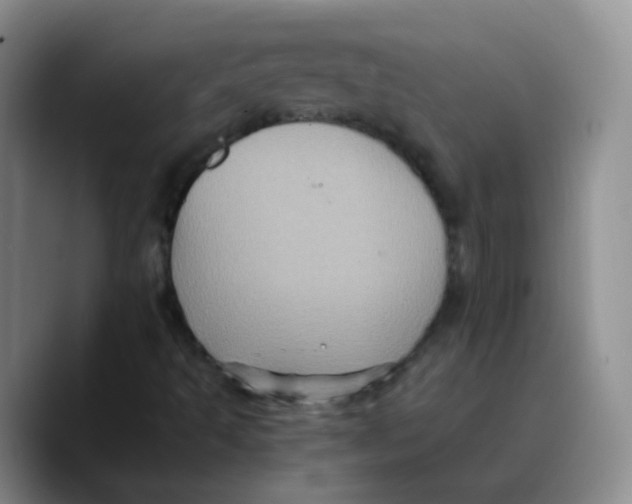 X0000089731493200707201830