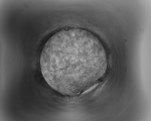 X0000089731494200707201830