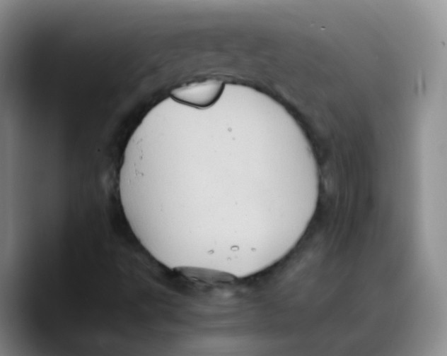 X0000089731495200707201830