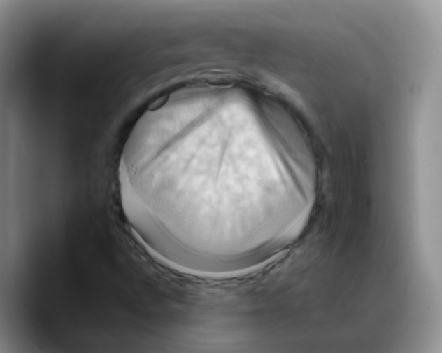X0000089731496200707201830