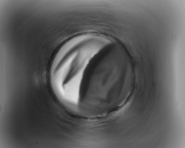X0000089731497200707201830
