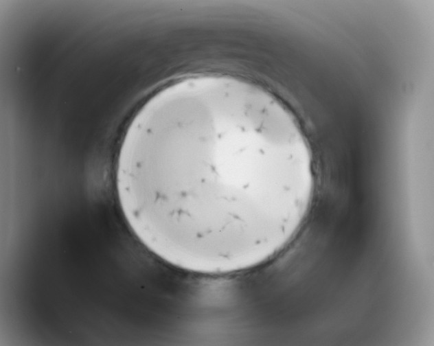 X0000089731498200707201830