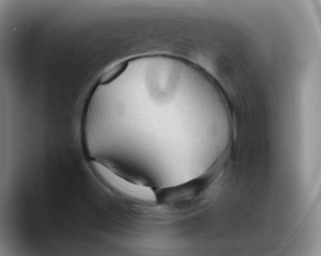 X0000089731500200707201830
