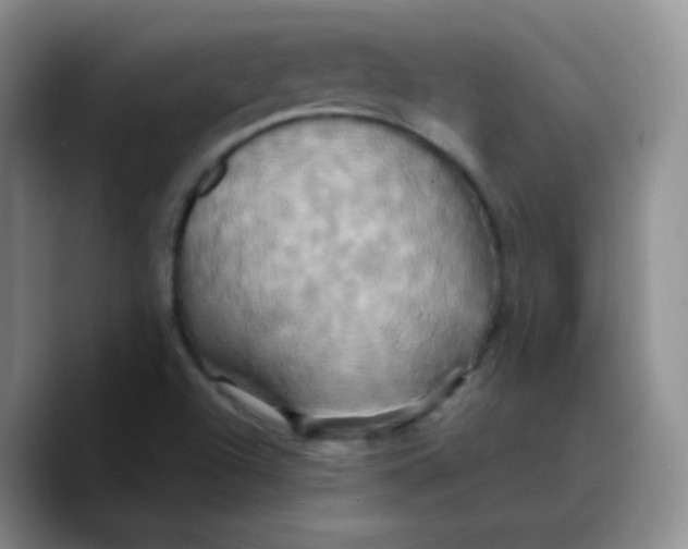 X0000089731504200707201830