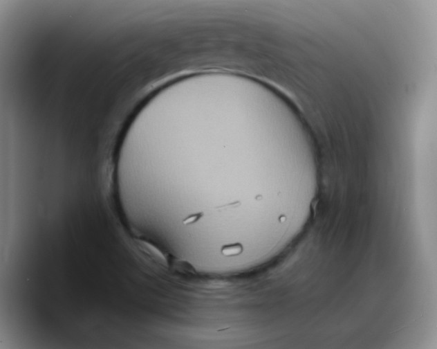 X0000089731507200707201830