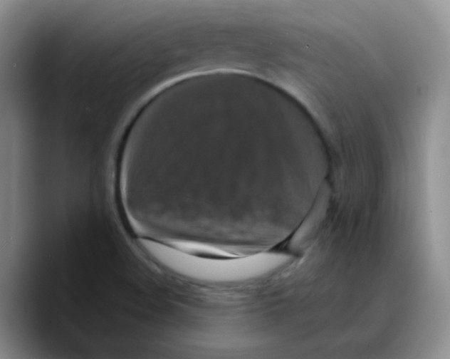 X0000089731508200707201830