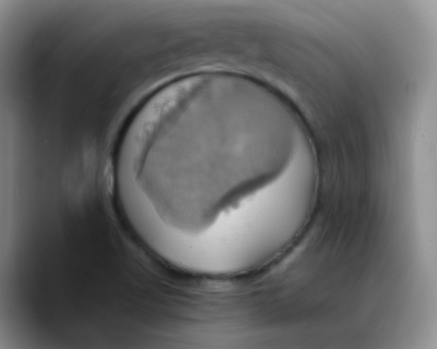 X0000089731509200707201830