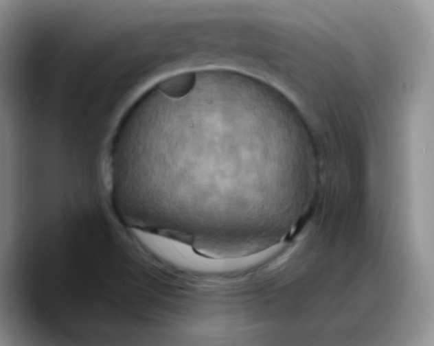 X0000089731510200707201830