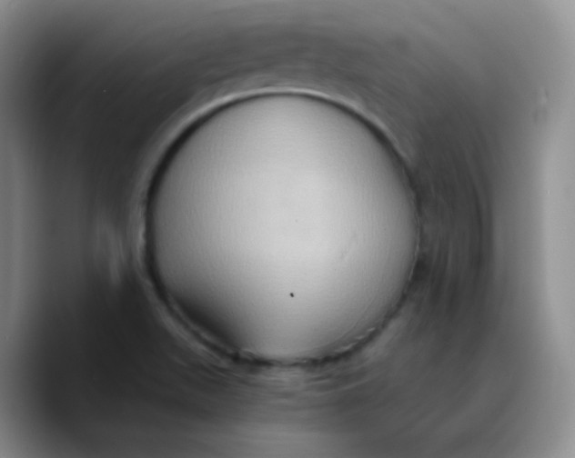 X0000089731511200707201830