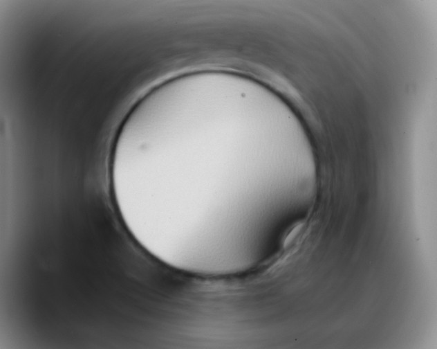 X0000089731512200707201830