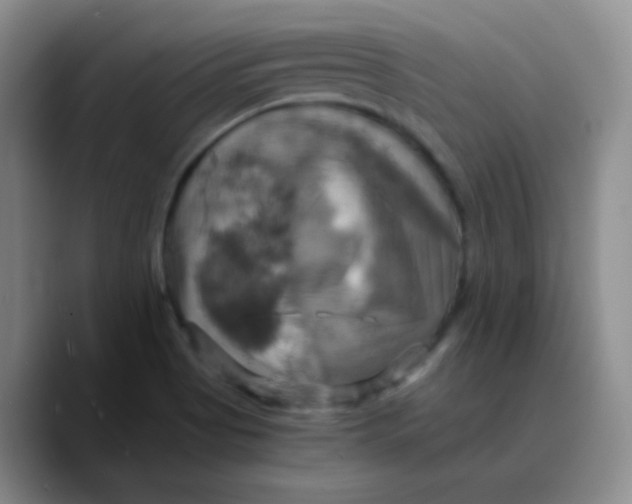 X0000089731513200707201830