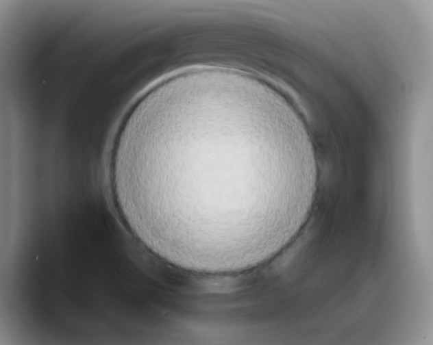 X0000089731514200707201830