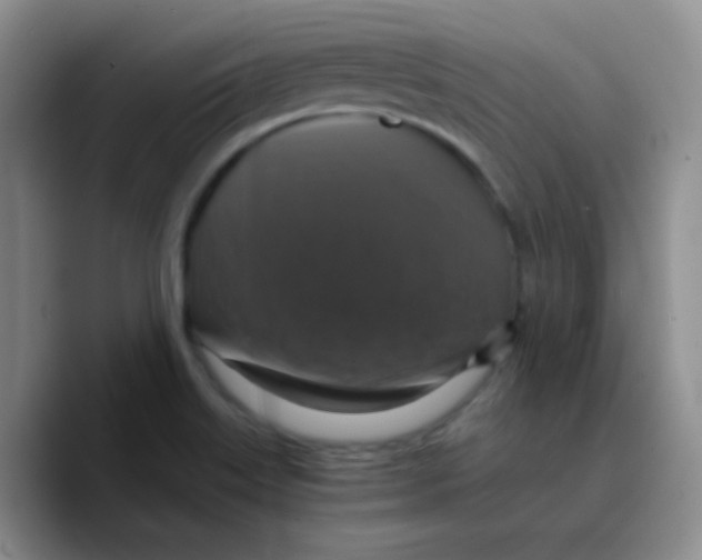 X0000089731515200707201830