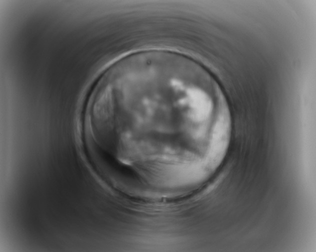 X0000089731517200707201830