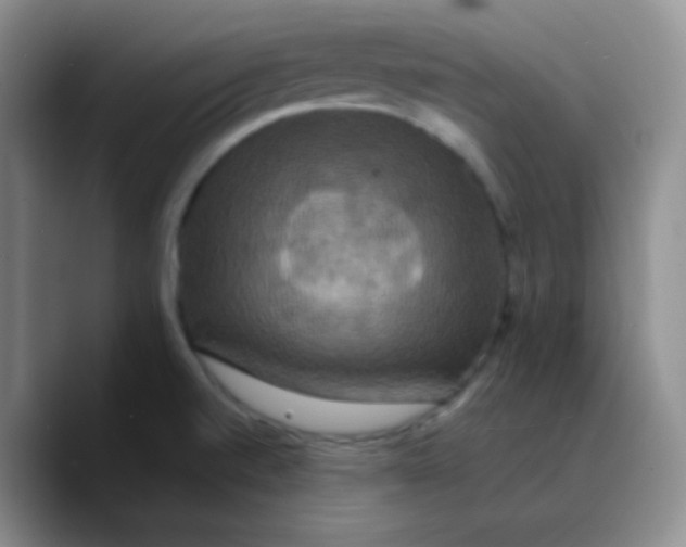 X0000089731520200707201830