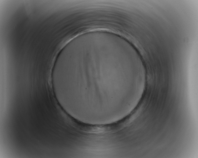 X0000089731521200707201830